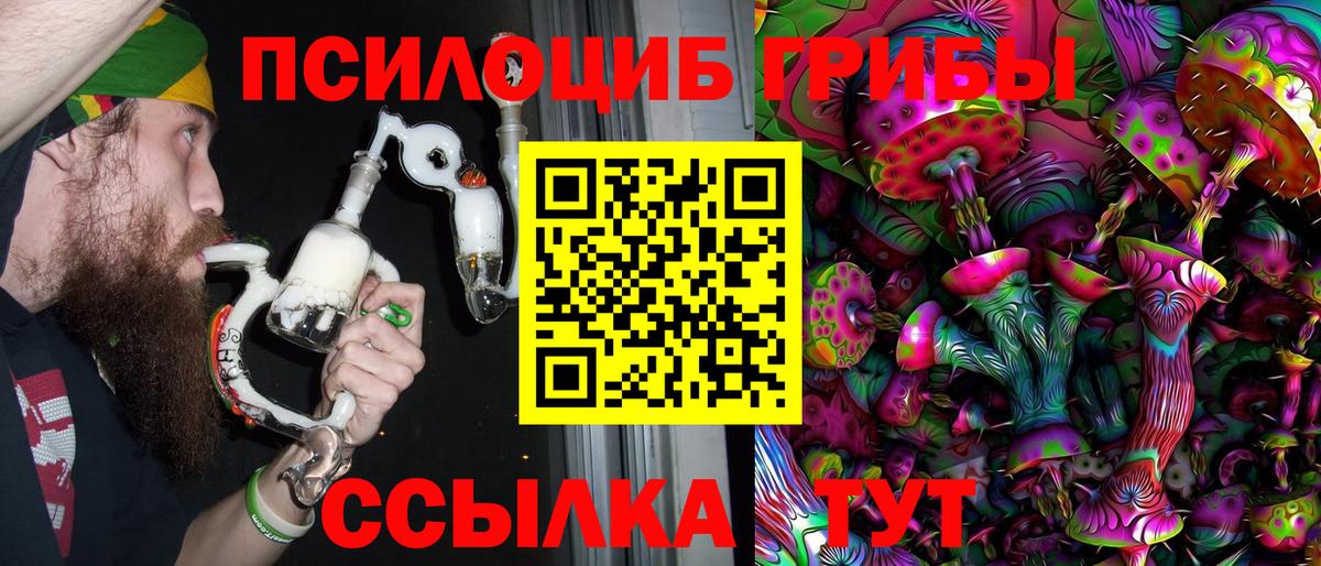 где купить наркоту  Вход с VPN  Псилоцибиновые грибы MAGIC MUSHROOMS  Звенигород  Псилоцибиновые грибы Magic Shrooms 