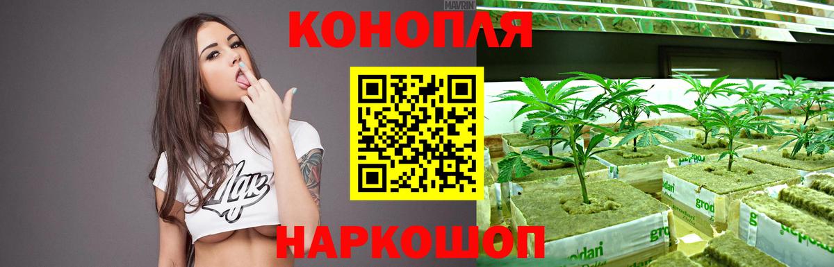 Бошки Шишки марихуана Звенигород